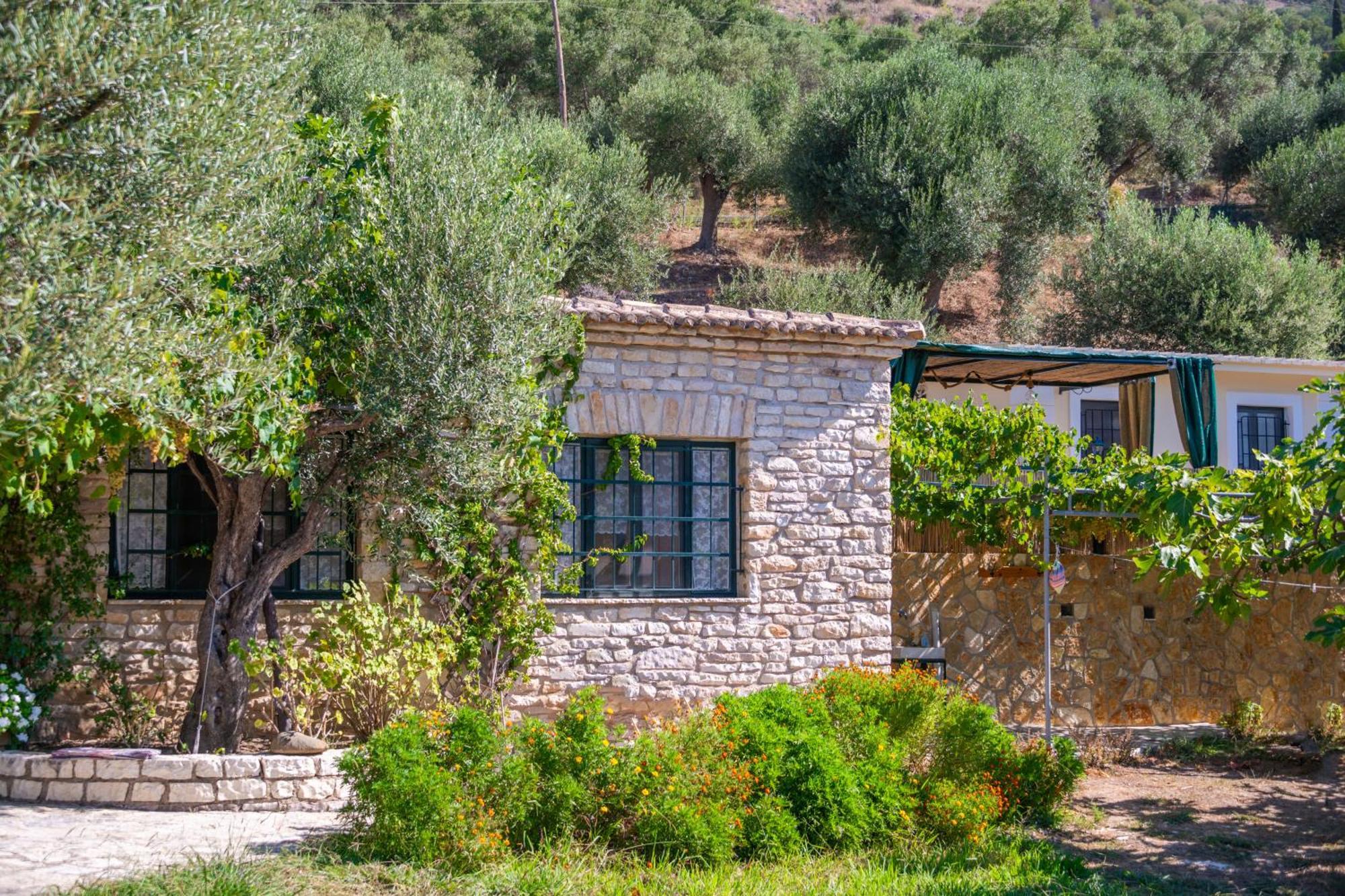 Liodentro - Olea Villa Plataria Exterior photo