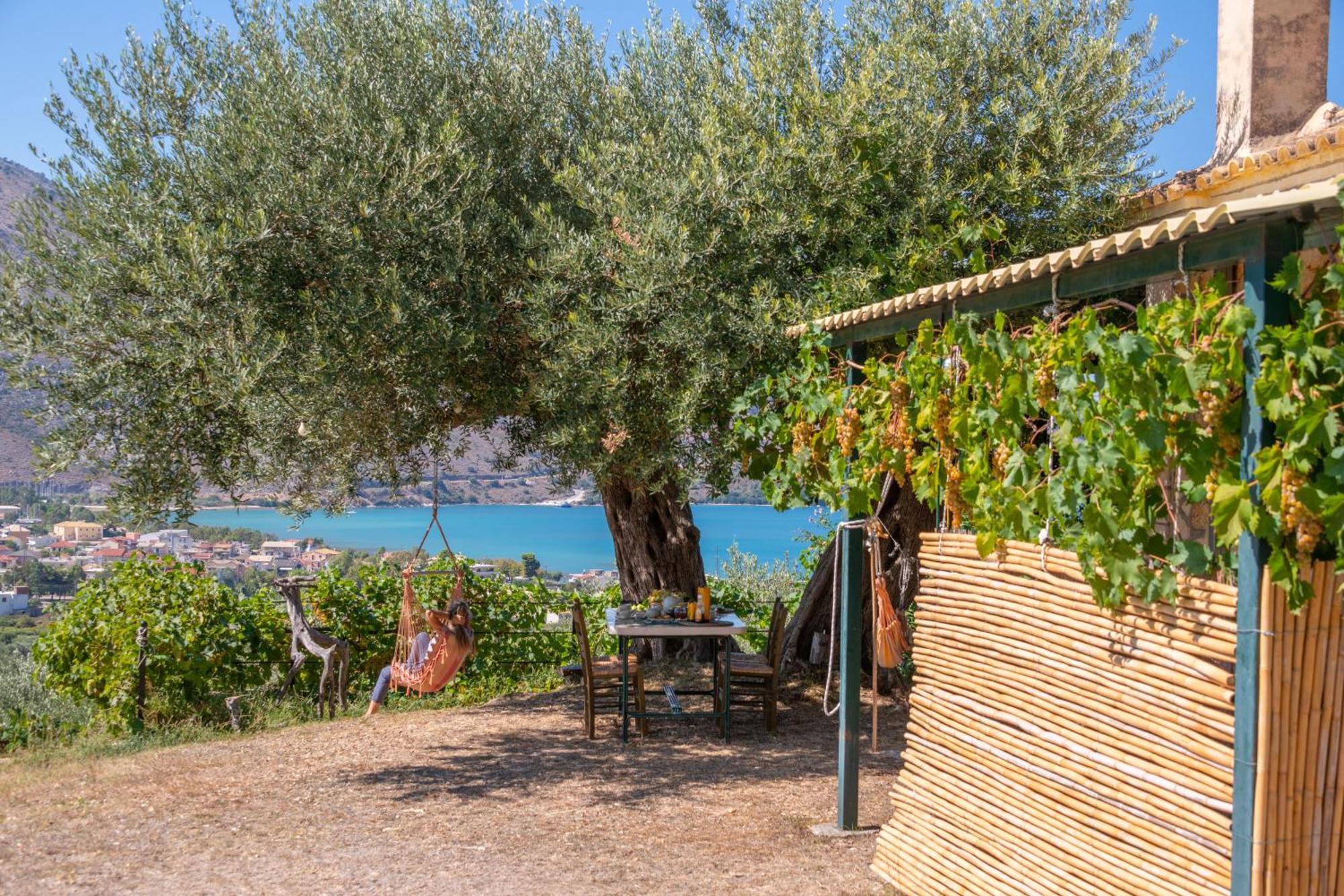 Liodentro - Olea Villa Plataria Exterior photo