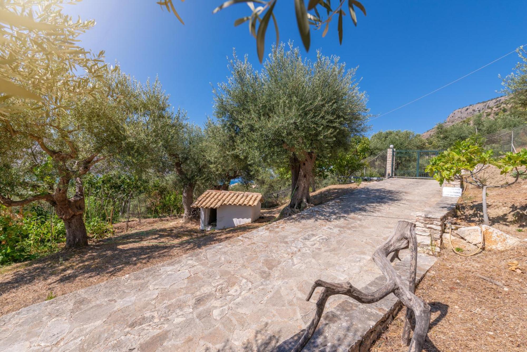 Liodentro - Olea Villa Plataria Exterior photo