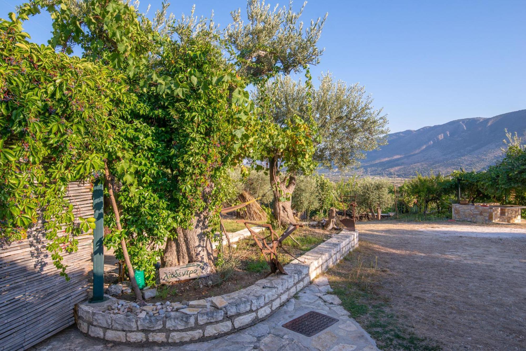 Liodentro - Olea Villa Plataria Exterior photo