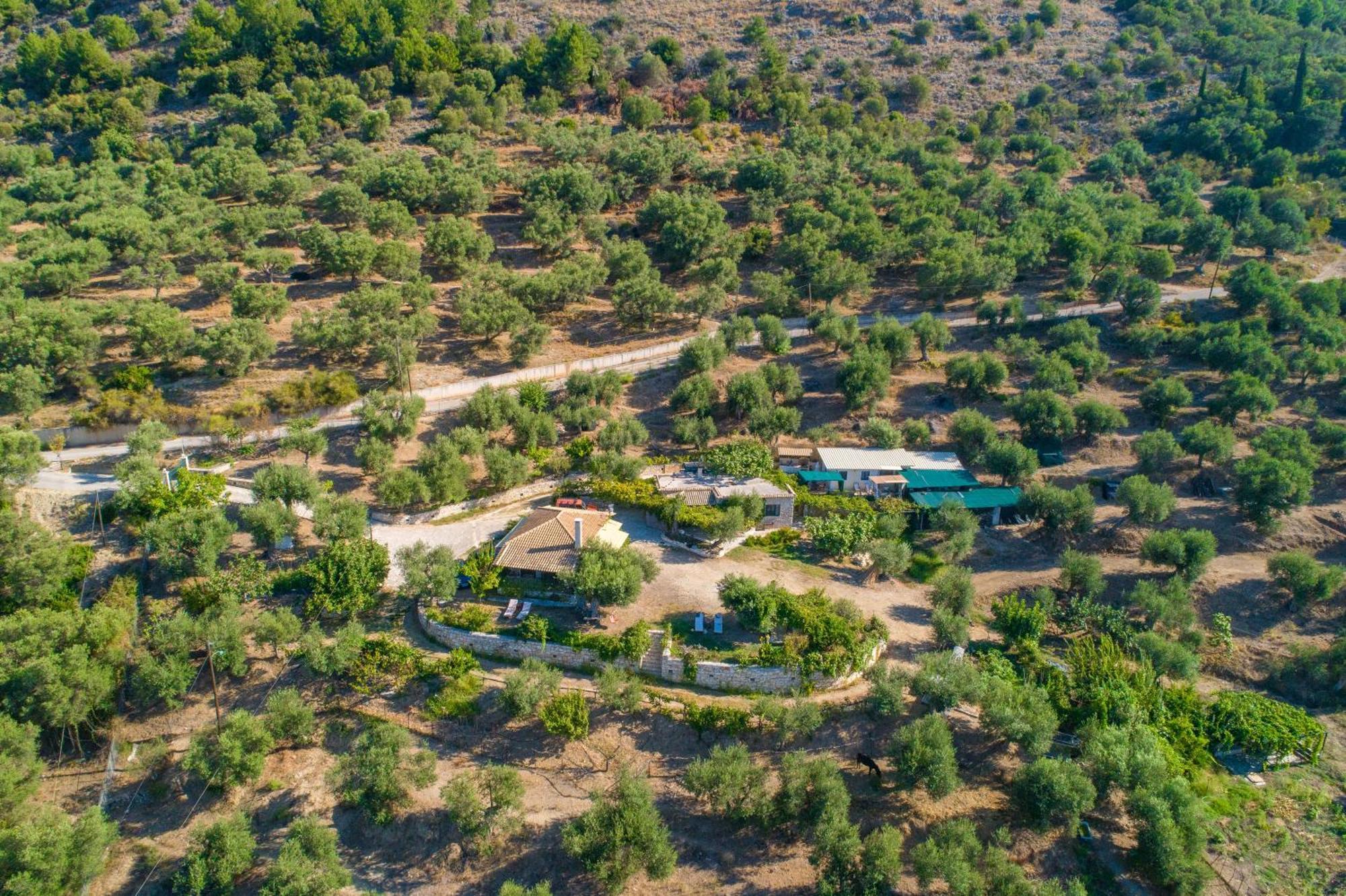 Liodentro - Olea Villa Plataria Exterior photo