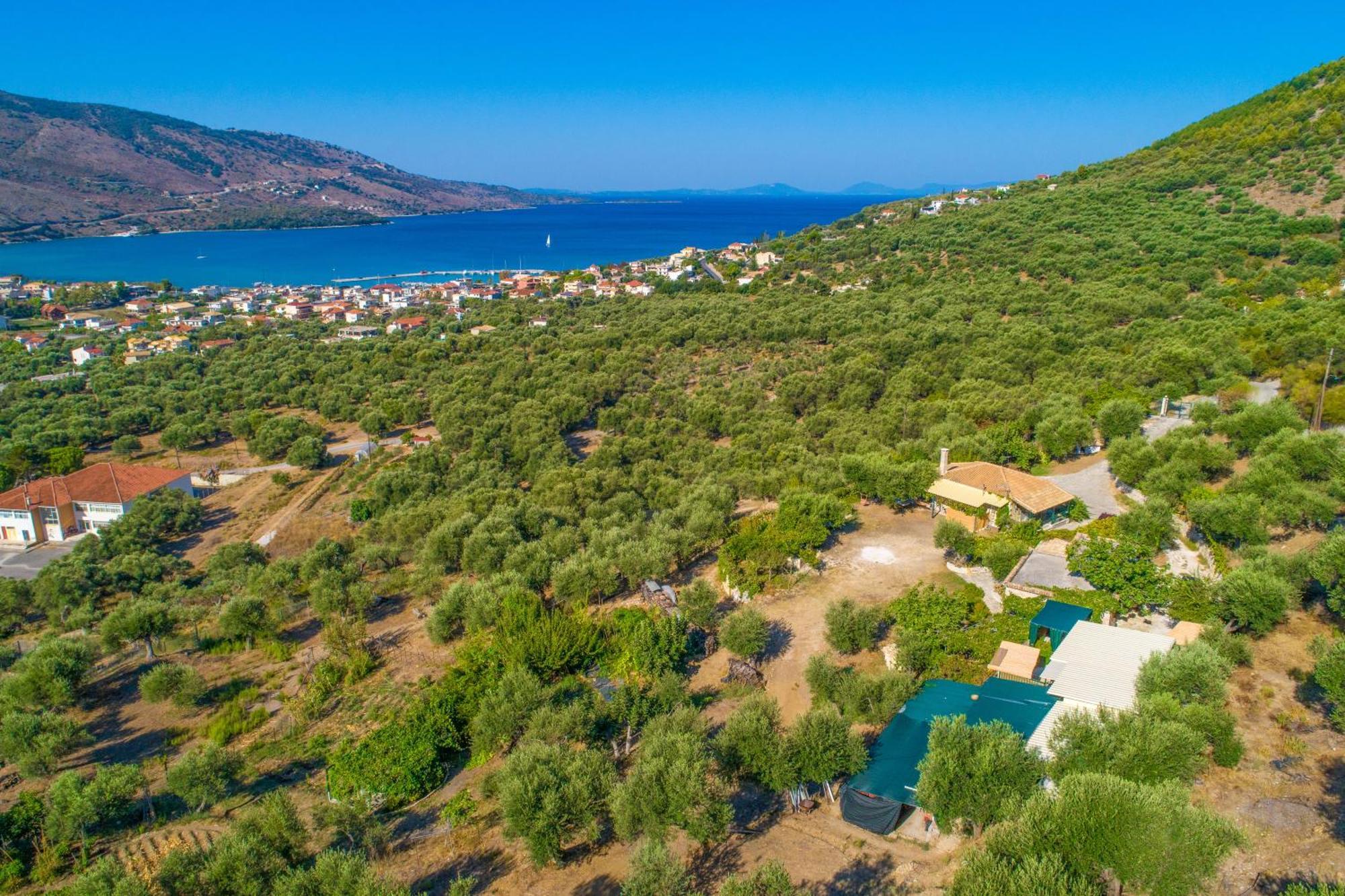 Liodentro - Olea Villa Plataria Exterior photo